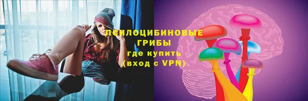 apvp Горнозаводск
