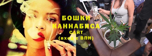 apvp Горнозаводск